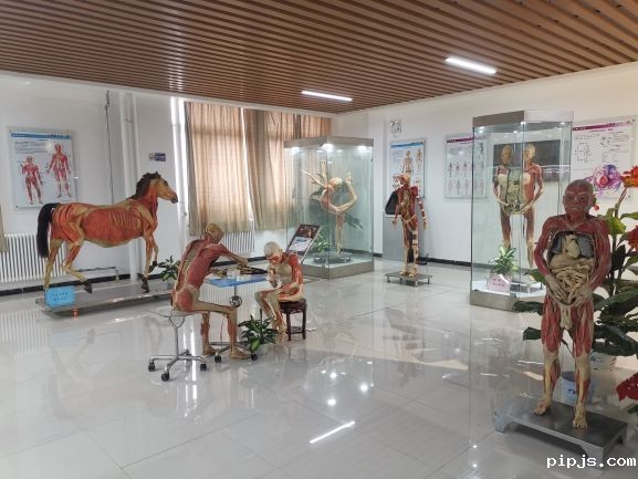 生命科学馆